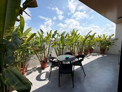 Serangoon Garden Estate (D19), Semi-Detached #577172421